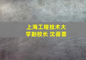 上海工程技术大学副校长 沈蓓蕾